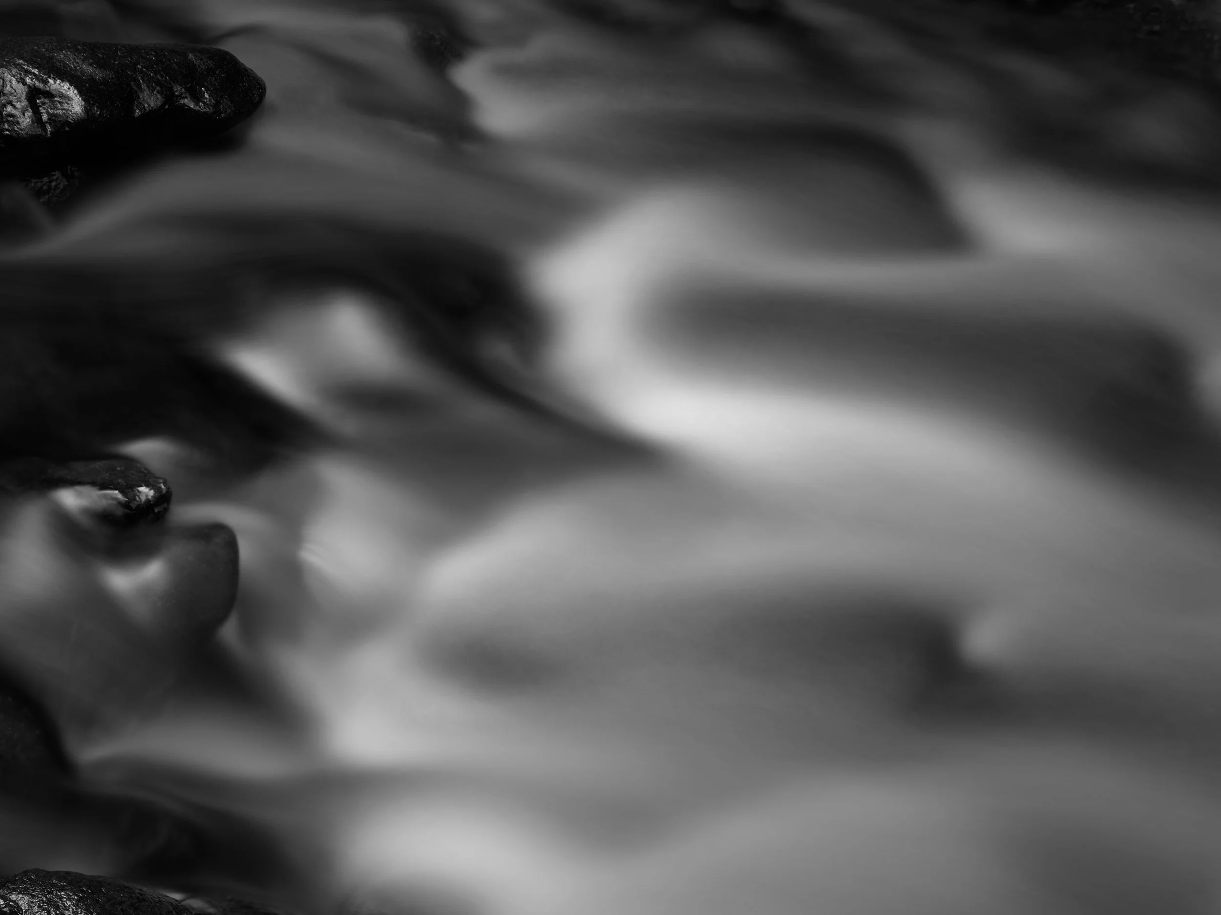 Rain-forest Stream XVI